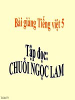 Bài giảng tiếng việt 5 tuần 14 bài tập đọc   chuỗi ngọc lam 