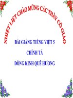 Bài giảng tiếng việt 5 tuần 7 bài chính tả   nghe, viết dòng kinh quê hương 