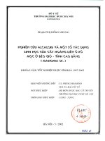 Nghiên cứu Alcaloid và một số tác dụng sinh học của cây hoàng liên ô rô mọc ở đèo Gió  tỉnh Cao bằng