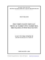 Phát triển nguồn nhân lực trong sự nghiệp công nghiệp hóa, hiện đại hóa ở tỉnh thái nguyên