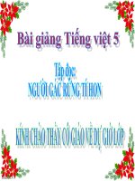 Bài giảng tiếng việt 5 tuần 13 bài tập đọc   người gác rừng tí hon 