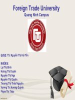 slide thuyết trình đề án kinh doanh  nổi trên mặt nước