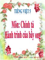 Bài giảng tiếng việt 5 tuần 13 bài chính tả   nghe, viết hành trình của bầy ong 