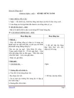 Giáo án tiếng việt 5 tuần 8 bài chính tả nghe,viết kì diệu rừng xanh 