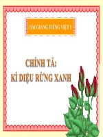 Bài giảng tiếng việt 5 tuần 8 bài chính tả   nghe, viết kì diệu rừng xanh 