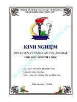 Rèn KN Cảm thụ âm nhạc cho HSTH