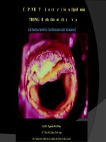 CẬP  NHẬT  điều  trị  rối  loạn  lipid  máu