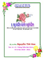 SKKN luyện từ và câu lớp 5