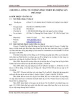 thiết kế môn học phân tích hoạt động kinh tế công ty cổ phần phát triển bất động sản Phát Đạt