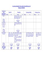 MA TRẬN, ĐỀ KIỂM TRA HỌC KÌ II MON DIA LI 8 (10 11)