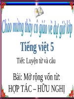 Bài giảng tiếng việt 5 tuần 6 bài luyện từ và câu   mở rộng vốn từ hữu nghị   hợp tác 