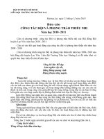 bao cáo Đội và phong trào thiếu nhi năm 2010   2011