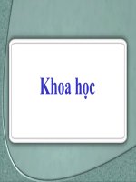 phòng bệnh béo phì