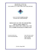 khảo sát các yếu tố ảnh hưởng đến sự phát triển và khả năng phân hủy lông gia cầm của vi khuẩn bacillus cereus k13