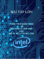 Phân tích kiến trúc và nguyên lý làm việc của bộ vi xử lý 32 bits của intel