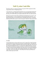 TUỔI TỴ NĂM CANH DẦN