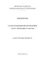 Các yếu tố ảnh hưởng đến mức độ ổn định cổ tức trường hợp của việt nam 