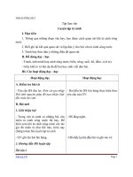 Giáo án tiếng việt 5 tuần 6 bài tập làm văn luyện tập tả cảnh 