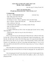 Bao cao thanh tich toan