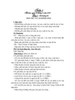 Bài 1: Vẽ trang trí (Sắc màu và cách pha màu)