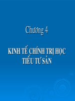 chương 4 kinh tế chính trị học tiểu tư sản 