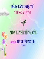 Bài giảng tiếng việt 5 tuần 7 bài luyện từ và câu   từ nhiều nghĩa 