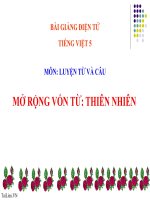 Bài giảng tiếng việt 5 tuần 8 bài luyện từ và câu   mở rộng vốn từ thiên nhiên 