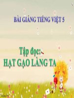 Bài giảng tiếng việt 5 tuần 14 bài tập đọc   hạt gạo làng ta 