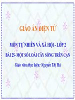 Bài 25:Mot so loai vat song tren can