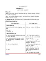 Giáo án tiếng việt 5 tuần 6 bài tập làm văn luyện tập làm đơn 