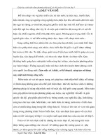 SKKN PP giai bai toan co loi van lop 3