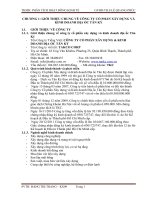 THIẾT KẾ MÔN HỌC PHÂN TÍCH HOẠT ĐỘNG KINH TẾ CÔNG TY CỔ PHẦN XÂY DỰNG KINH DOANH ĐỊA ỐC TÂN KỶ