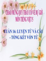 Bài giảng tiếng việt 5 tuần 16 bài luyện từ và câu   tổng kết vốn từ 