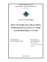 phân tích hiệu quả hoạt động kinh doanh tại công ty tnhh gas petrolimex cần thơ