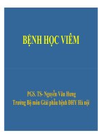 Bài giảng giải phẫu bệnh bệnh học viêm 2
