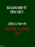 Bài giảng tiếng việt 5 tuần 17 bài chính tả   nghe,viết người mẹ của 51 đứa con4 
