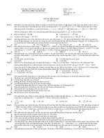 ĐỀ THI THỬ ĐẠI HỌC NGUYỄN DU