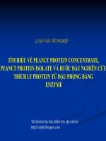 TÌM HIỂU về PEANUT PROTEIN CONCENTRATE, PEANUT PROTEIN ISOLATE, TRÍCH LY PROTEIN từ đậu PHỘNG BẰNG PROTEIN