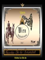 VIENNE   AUSTRIA : SUPERBE SISSI VAUT BIEN UNE VALSE 2010