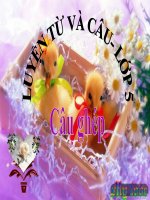 Bài giảng tiếng việt 5 tuần 19 bài câu ghép6 