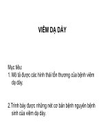 Bài giảng giải phẫu bệnh viêm và loét dạ dày