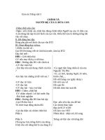 Giáo án tiếng việt 5 tuần 17 bài chính tả nghe,viết người mẹ của 51 đứa con 