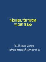 Bài giảng giải phẫu bệnh thích nghi, tổn thương và chết tế bào