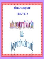 Bài giảng tiếng việt 5 tuần 17 bài luyện từ và câu   ôn tập về từ và cấu tạo từ 