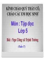 Bài giảng tiếng việt 5 tuần 17 bài tập đọc   ngu công xã trịnh tường7 