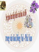 văn hóa Phù Nam   Ấn Độ