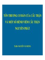 Bài giảng giải phẫu bệnh bệnh cầu thận