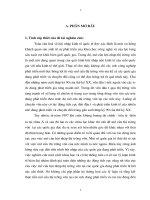 Tác động của việc mở cửa thị trường vốn đến nền kinh tế các nước đang phát triển và Bài học cho Việt nam