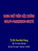 Rung nhĩ ở người có hội chứng wolff parkinson white