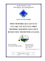 phân tích hiệu quả sản xuất của việc sản xuất lúa theo mô hình cánh đồng mẫu lớn ở huyện châu thành tỉnh an giang